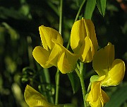 IMG_3836