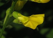 IMG_3840