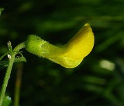 IMG_6111