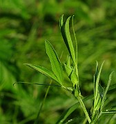 IMG_6112