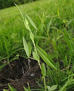 IMG_6518