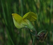 IMG_5575