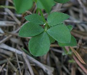 IMG_5588
