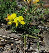 IMG_5590