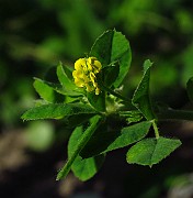 IMG_3847