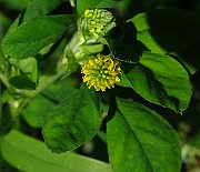 IMG_3848