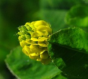 IMG_3854