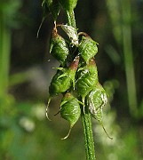 IMG_5628