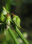IMG_5629