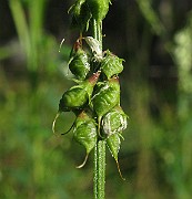 IMG_5630