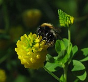 IMG_6998