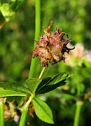 IMG_6141