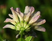 IMG_6145b