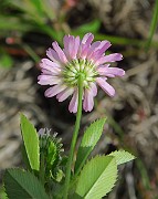 IMG_6991