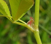 IMG_6996
