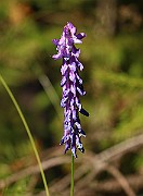 IMG_0258
