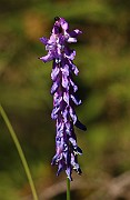 IMG_0259