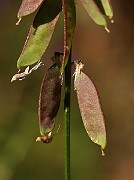 IMG_0270