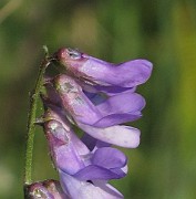 IMG_7483