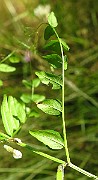 IMG_1497