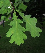 IMG_3405