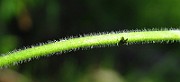 IMG_3295