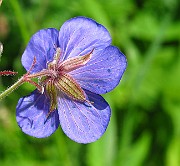 IMG_3297