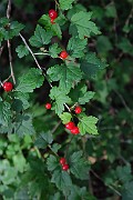 IMG_0792