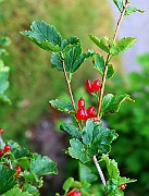 IMG_6738