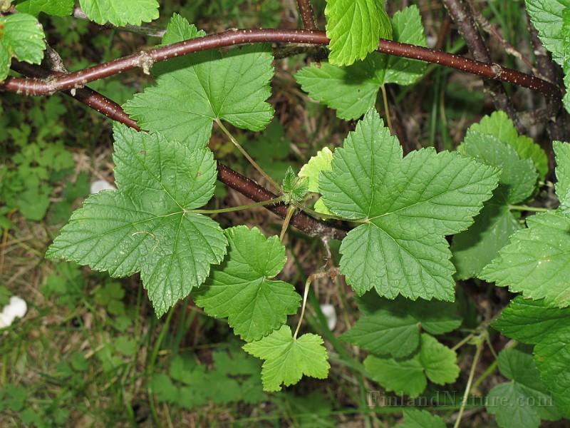 IMG_8408.JPG
