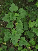 IMG_8405