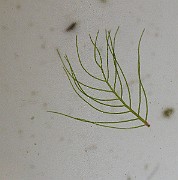 IMG_6206
