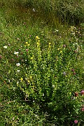 IMG_0207