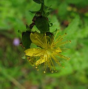 IMG_2890