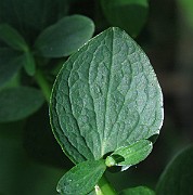 IMG_3168