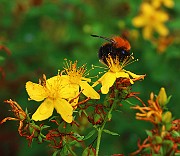 IMG_6852