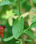 IMG_6856