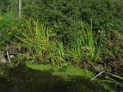 IMG_5013
