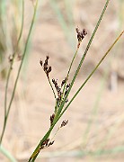 IMG_0124