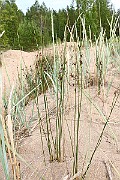 IMG_0126
