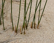 IMG_0133