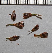 IMG_0139