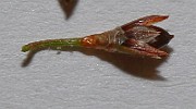 IMG_0140