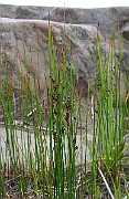 IMG_6789