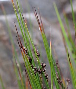 IMG_6791