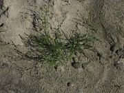 IMG_2028