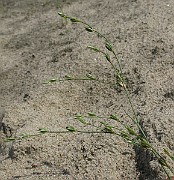 IMG_2031