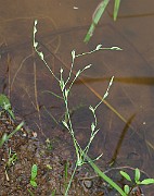 IMG_3724
