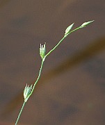 IMG_3725