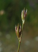 IMG_4802